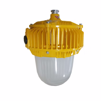 顶火 GMD8160-100W 防爆等级 Ex d IIC T6 Gb/Ex tD A21 IP66 T80℃ 防爆平台灯 (计价单位：盏) 橙色