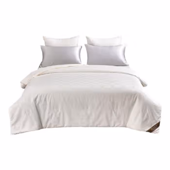 博洋家居(BeyondHome) WT912307015B 蚕丝 冬被 被子 (计价单位：件) 白色