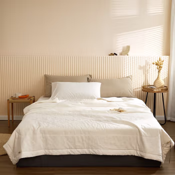 伊伊爱 BZ0LFS2100762 /220*240cm 提花夏凉被子全棉棉花夏被空调被芯 1.00 件/条 (计价单位：条) 白色