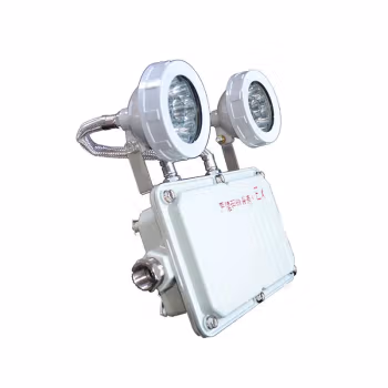 炽翼 BCJ-2X2.5 6000k IP65 消防 应急灯 (计价单位：盏) 灰色