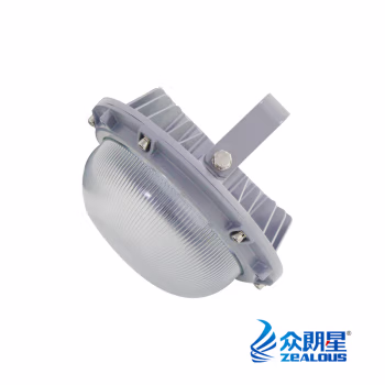 众朗星 ZL8825-L70 AC/DC85-265V 70W IP66 LED泛光防水防尘灯 1.00 个/台 (计价单位：台) 灰色