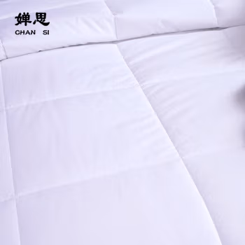 婵思 SDJD0230053 180*220cm 全棉防羽布被芯 1.00 件/条 (计价单位：条) 纯白