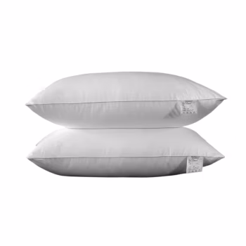 若叶之季 LR-ZX05 48*78cm 白色防羽布  1200g 枕芯 (计价单位：件) 白色