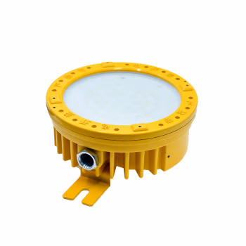 顶火 GMD8181-18W 18W IP68 220V、LED 5700K Ex db ⅡC T6 Gb/Ex tb IIIC T80℃ Db 防爆灯 1.00 盏/个 (计价单位：个) 黄
