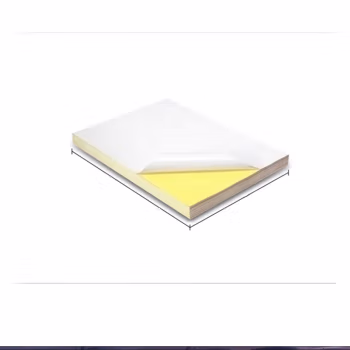 千禧兔(QXIRAB) QXT-125 300mm*200mm 打印标签 胶贴 1.00 卷/盒 (计价单位：盒) 白色