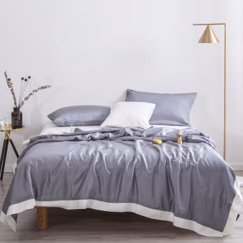 伊伊爱 LTL-17XK-XB003 150*200cm 纯色系列天丝 夏被 空调被 1.00 件/条 (计价单位：条) 灰