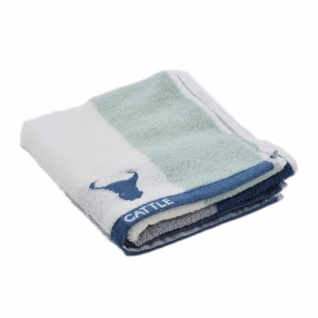 鲸轩 M501 35*73cm 95g  岁月童话 毛巾 (计价单位：条) 蓝色