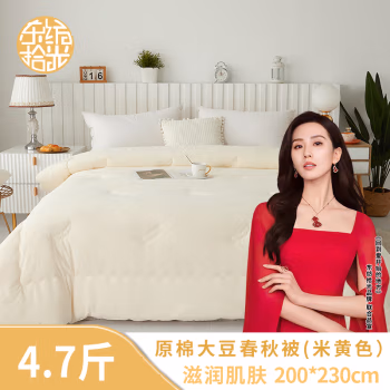 东纺拾光 DF3010  200*230cm原棉大豆春秋被4.7斤 被子 1.00 件/条 (计价单位：条) 米黄色