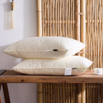 伊伊爱 BA1900007 48*74cm 羽丝枕芯三色暖舒枕柔软枕芯休闲枕芯单人 枕头 1.00 件/个 (计价单位：个) 白色