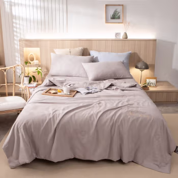 伊伊爱 BZ0TDC2100745 /200*230cm 羽毛 原棉日式提花朴染大豆抗菌防螨夏被 1.00 件/条 (计价单位：条) 烟灰