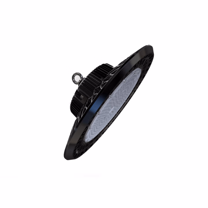 立华王(LihuaKing) LH6600-B 150W IP65 电压AC220V 光源色温5700K LED高顶灯 (计价单位：个) 黑色