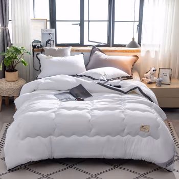 婵思 BZQTDC2000334 150*200cm 3斤 立体纯色秋冬被北欧风格 保暖 被芯 1.00 件/条 (计价单位：条) 白色