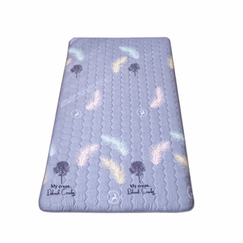 汉司家纺 120*200cm 棉 床垫 (计价单位：件) 灰色