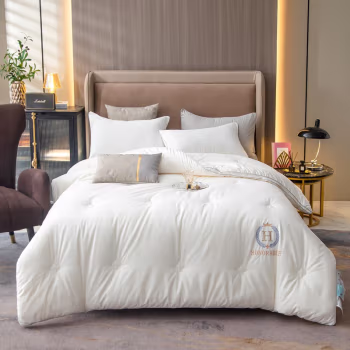 伊伊爱 BZ0TDC2100846 220*240cm 被芯 1.00 件/条 (计价单位：条) 皇嘉白