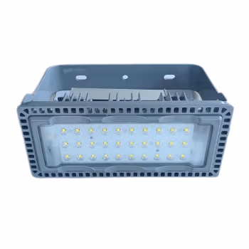 维莱奥斯 TGD1001-G(含安装) 110W IP65 AC220V  5700K LED投光灯 (计价单位：个) 银色