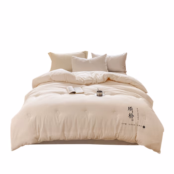 伊伊爱 BZ0HJC2301115 220*240cm/6斤 原棉提花大豆秋冬被 (计价单位：件) 白色