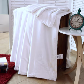 伊伊爱 BZBQS02000217 柞蚕丝 被子 (计价单位：件) 白色