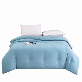 汉司家纺 纯色亲肤 200*230cm  保暖春秋冬被 被子 1.00 件/条 (计价单位：条) 夏至蓝