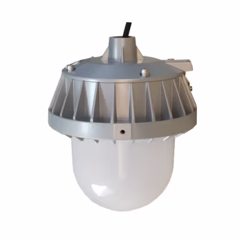 顶火 GMD9151-70W 220VAC 色温6500K IP66 LED 平台灯 (计价单位：个) 银灰