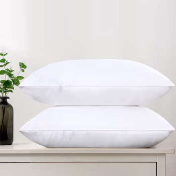 王朝时光 WCSGZTRX-02 48*78cm 枕头 (计价单位：件) 白色