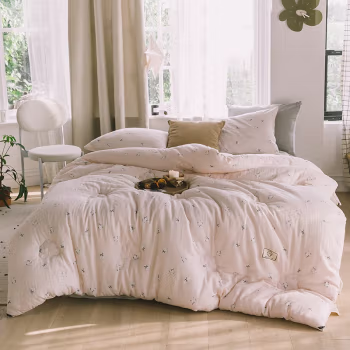 伊伊爱 Z01900037 150*200cm 双层纱棉花冬被 秋冬保暖被 6斤 棉被 1.00 件/条 (计价单位：条) 棉花世界