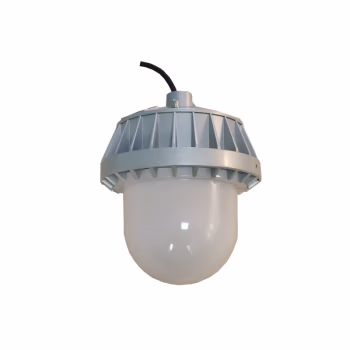 顶火 GMD9151A-70W 220VAC IP66 色温6500K LED 防眩平台灯 (计价单位：个) 银灰