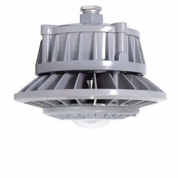 通明 ZY8607P-L50-100 90-264VAC 50W 5000K LED照明灯 1.00 个/套 (计价单位：套) 灰色
