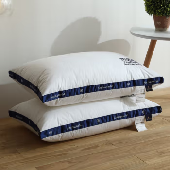 伊伊爱 ZX-9YSR-002 48*74cm 全棉白色酒店枕头 枕芯 1.00 件/个 (计价单位：个) 白色