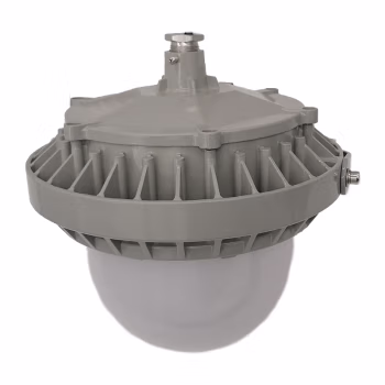 立华王(LihuaKing) LH6100C-C 60W IP65 电压AC220V 光源色温5700K LED强光工作灯 (计价单位：个) 银灰色