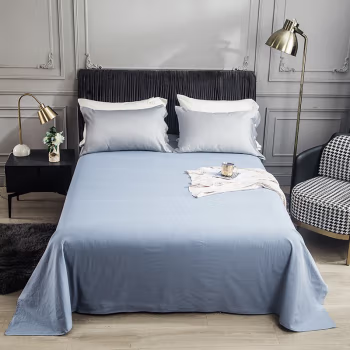 伊伊爱 TB2000258 230*250cm 全棉纯色单品床单 床单/床笠 1.00 件/条 (计价单位：条) 浅蓝
