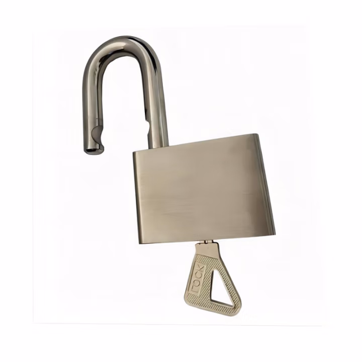 电帮务 50mm*51mm 弧形长梁51mm 挂锁 (计价单位：个) 银色