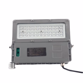 简鼎 JD7512 AC220V 10W 5700K IP67 LED消防照明灯 (计价单位：个) 灰色