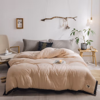 婵思 BZGLFS2000293 220x240/填充物5.1斤 素色水洗棉 冬被 1.00 件/条 (计价单位：条) 水洗棉-咖