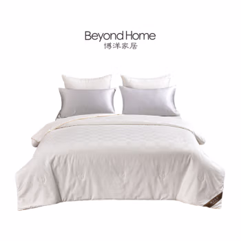 博洋家居(BeyondHome) WT912307015A 蚕丝 冬被 被子 (计价单位：件) 白色