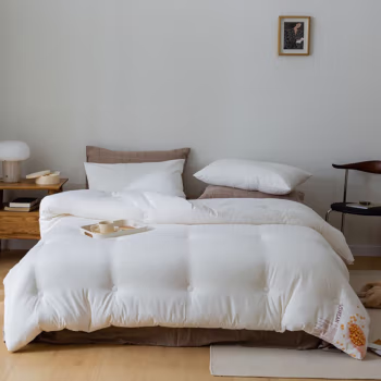 伊伊爱 BZ0BZF2100881 /220*240cm 蚕绒秋冬被 1.00 件/条 (计价单位：条) 珍珠白