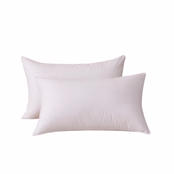 汉司家纺 48*74cm 棉 羽丝绒 枕头 1.00 件/个 (计价单位：个) 白色