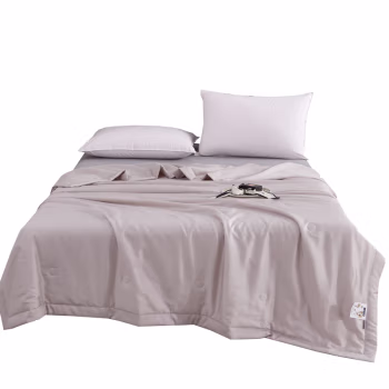 汉司家纺 天丝柔软丝滑 150*200cm  水洗夏被 被子 1.00 件/条 (计价单位：条) 米灰