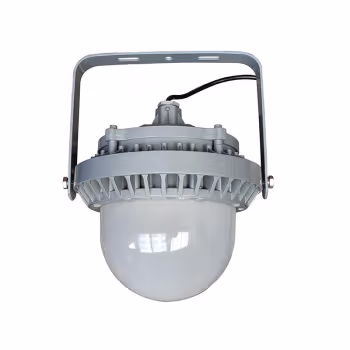 恒盛(HS) WF211E-100W 100W、IP65、电压等级：AC220V、白光/约5700K、LED LED平台泛光灯 (计价单位：个) 灰色