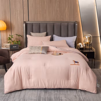 伊伊爱 BZ0TDC2100841 200*230cm 被芯 1.00 件/条 (计价单位：条) 御马豆沙