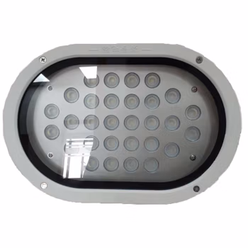 明号电器(MH) LF2100-30 30W IP65 220V 6000K LED泛光灯 (计价单位：个) 银色