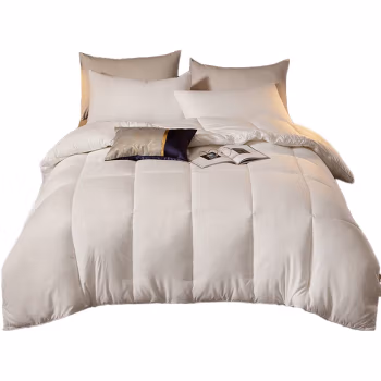 婵思 BZGTDC2000317 150*200/总重约4斤 立体 秋冬被 1.00 件/条 (计价单位：条) 白色