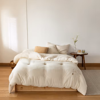 伊伊爱 BZ0LFS2201112 200*230cm5斤 全棉大豆春秋被 被子 1.00 件/条 (计价单位：条) 白色