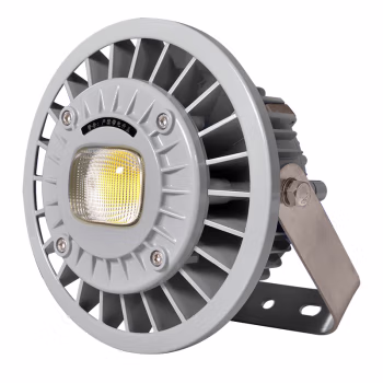 通明 BC9308S-L60-200 60W IP66 ExdIICT5Gb/ExtDA21IP66T95℃ AC90~264V 5000K 白光 LED防爆灯 (计价单位：盏) 灰色