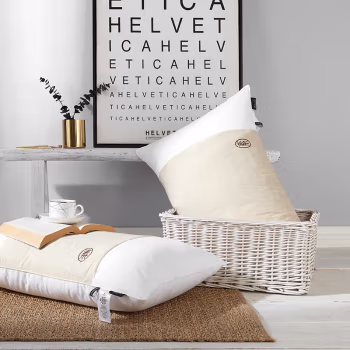 伊伊爱 ZX-9JMZ-001 48*74CM 决明子健康保健 枕芯 (计价单位：件) 白色