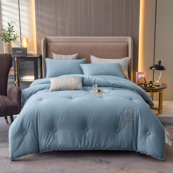 伊伊爱 BZ0TDC2100844 180*220cm 被芯 1.00 件/条 (计价单位：条) 皇嘉蓝