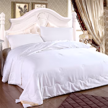 伊伊爱 SC-C1W-050BN 200*230cm 贡缎百分百桑蚕丝被 1斤 蚕丝被 1.00 件/条 (计价单位：条) 白色