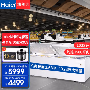 海尔(Haier) BC/BD-1028T 1028升 可冷藏冷冻切换带锁 卧式冰柜 (计价单位：台) 白色
