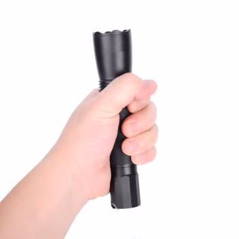 IRE BST，3W，IP66，ExdⅡCT6，8h/16h，6000K LED防爆手电筒 (计价单位：个) 黑色