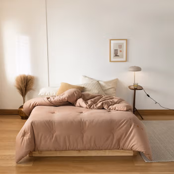 婵思 BZGLFS2000312 200 x 230/总重约6.5斤 芯选棉花 冬被 (计价单位：件) 咖