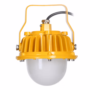 虎光风行 HG6601 照明功率50W 防护等级IP65 防爆等级等级Exd IICT6 电压AC220V 色温6000K 光源类型LED 防爆平台灯 1.00 盏/套 (计价单位：套) 黄色